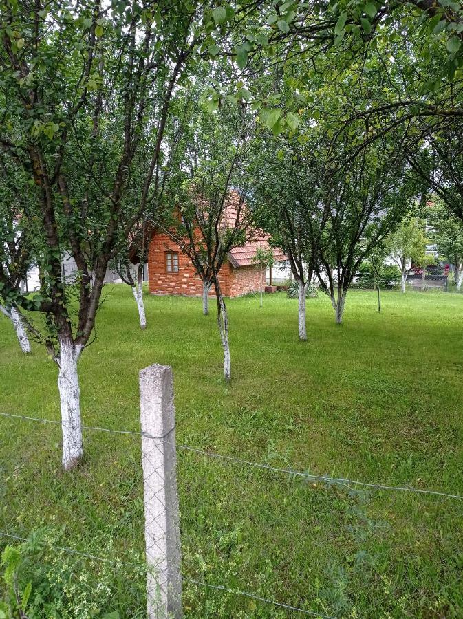 Zlaja Bihać